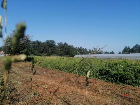 Terreno Misto  Venda em São Miguel do Souto e Mosteirô,Santa Maria da Feira