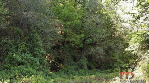 Moradia para Restaurar T2 Venda em Rio Douro,Cabeceiras de Basto