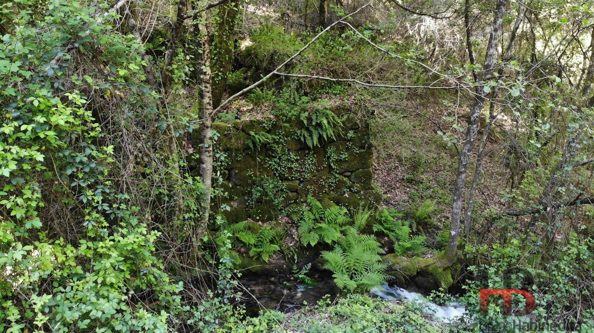 Moradia para Restaurar T2 Venda em Rio Douro,Cabeceiras de Basto