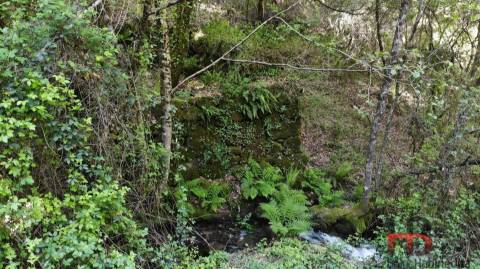 Moradia para Restaurar T2 Venda em Rio Douro,Cabeceiras de Basto