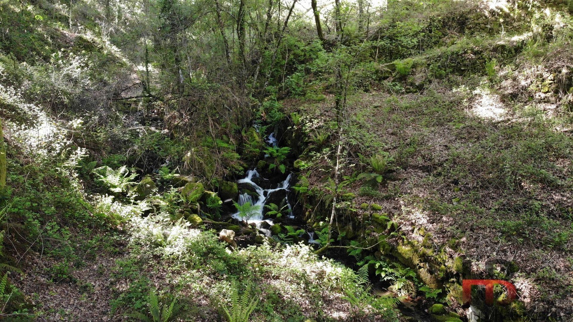 Terreno Rústico  Venda em Rio Douro,Cabeceiras de Basto