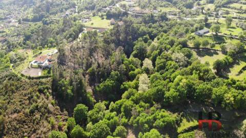 Terreno Rústico  Venda em Rio Douro,Cabeceiras de Basto