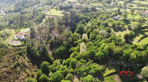 Terreno Rústico  Venda em Rio Douro,Cabeceiras de Basto
