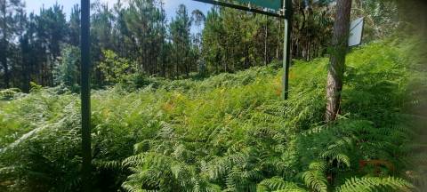 Lote de Terreno  Venda em São Miguel do Souto e Mosteirô,Santa Maria da Feira