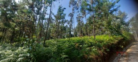 Lote de Terreno  Venda em São Miguel do Souto e Mosteirô,Santa Maria da Feira