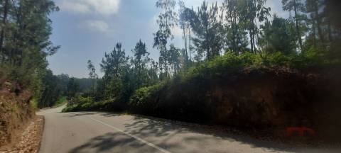 Lote de Terreno  Venda em São Miguel do Souto e Mosteirô,Santa Maria da Feira