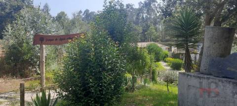 Lote de Terreno  Venda em São Miguel do Souto e Mosteirô,Santa Maria da Feira