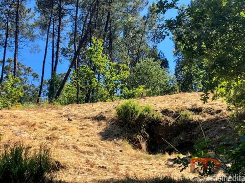 Terreno Rústico  Venda em Sobreira,Paredes