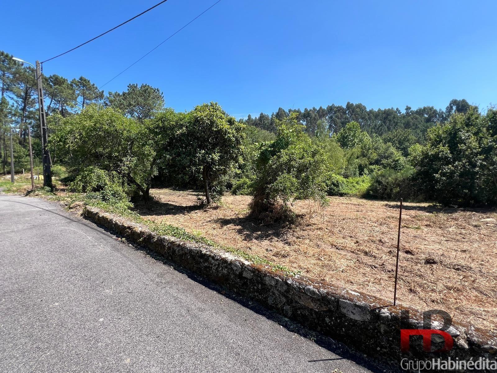 Terreno Para Construção  Venda em Arcozelo das Maias,Oliveira de Frades