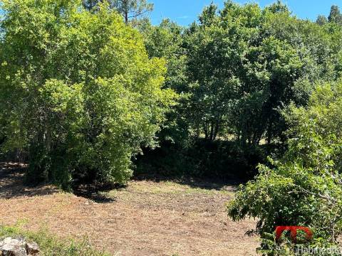 Terreno Para Construção  Venda em Arcozelo das Maias,Oliveira de Frades