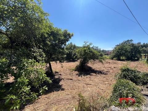 Terreno Para Construção  Venda em Arcozelo das Maias,Oliveira de Frades