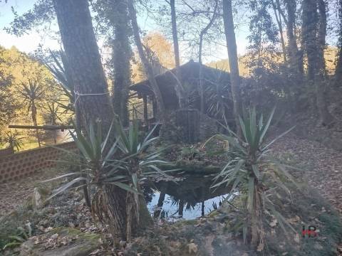 Quintinha T0 Venda em Pinheiro da Bemposta, Travanca e Palmaz,Oliveira de Azeméis
