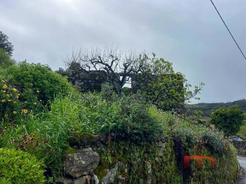 Moradia T3 Venda em Cambra e Carvalhal de Vermilhas,Vouzela