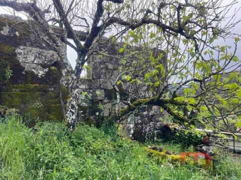 Moradia T3 Venda em Cambra e Carvalhal de Vermilhas,Vouzela
