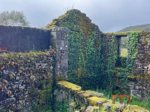 Moradia T3 Venda em Cambra e Carvalhal de Vermilhas,Vouzela