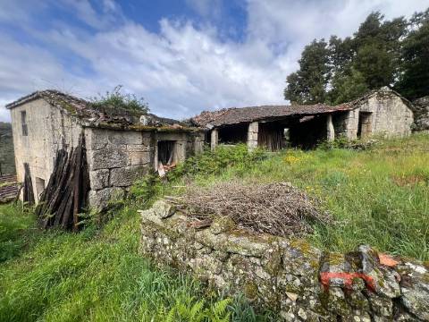Moradia Rústica T3 Venda em Cambra e Carvalhal de Vermilhas,Vouzela