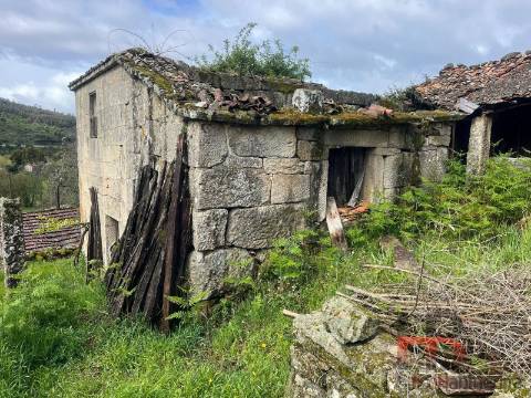 Moradia Rústica T3 Venda em Cambra e Carvalhal de Vermilhas,Vouzela