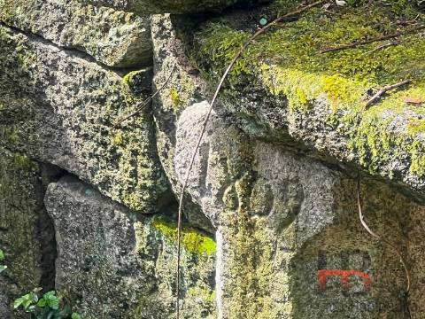 Moradia Rústica T3 Venda em Cambra e Carvalhal de Vermilhas,Vouzela