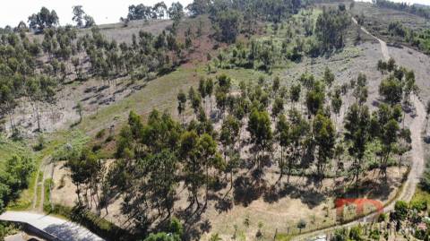 Lote de Terreno  Venda em Sobreira,Paredes