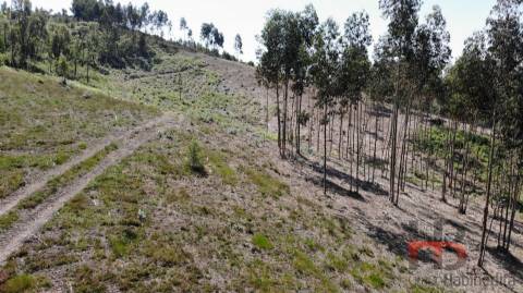 Lote de Terreno  Venda em Sobreira,Paredes