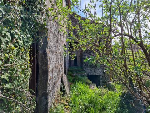 Moradia para Restaurar T2 Venda em Santa Marinha do Zêzere,Baião