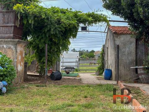 Quinta T4 Venda em Ovar, São João, Arada e São Vicente de Pereira Jusã,Ovar