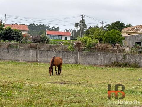 Terreno  Venda em Ovar, São João, Arada e São Vicente de Pereira Jusã,Ovar