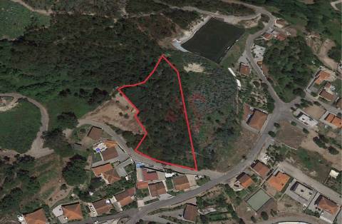 Terreno rústico com 7.028 m2 em Tagilde, Vizela.