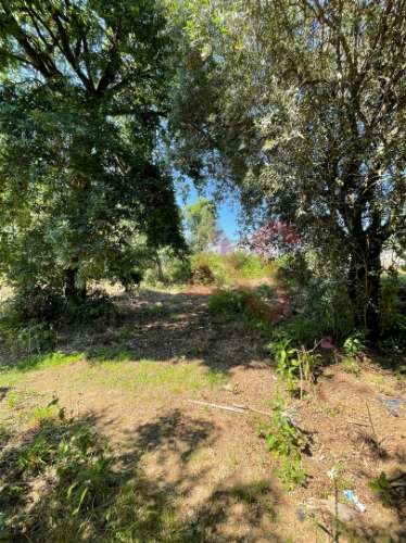 Terreno com 14.908m2 em Macieira da Lixa, Felgueiras