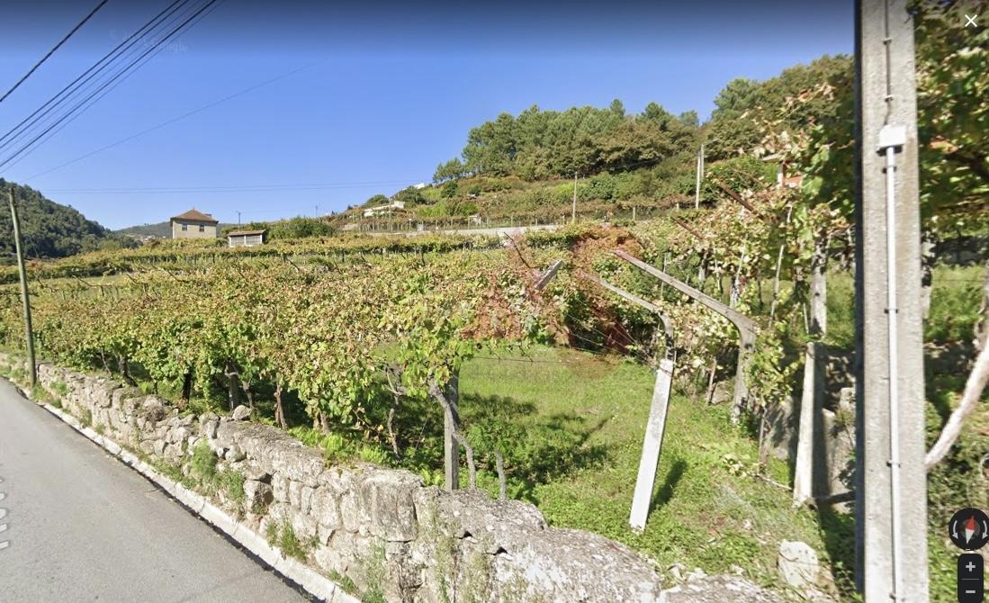 Terreno com 4.500m2 em S. M. Zêzere, Baião.