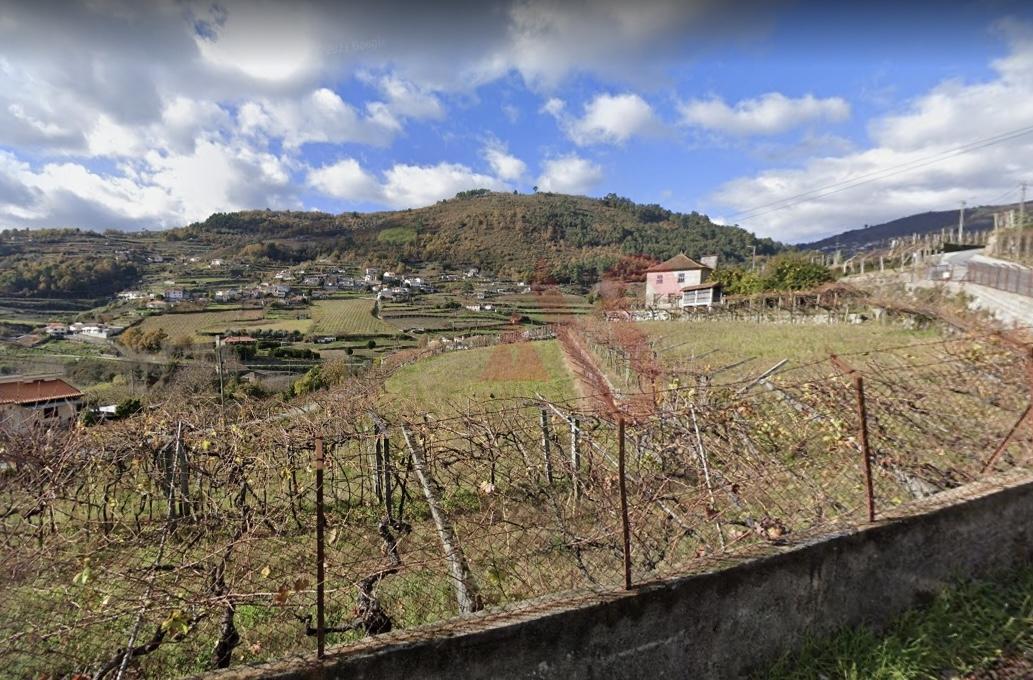Terreno com 4.500m2 em S. M. Zêzere, Baião.