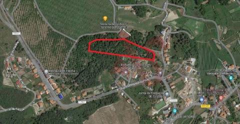 Terreno com 15000m2 em Gestaçô, Baião.