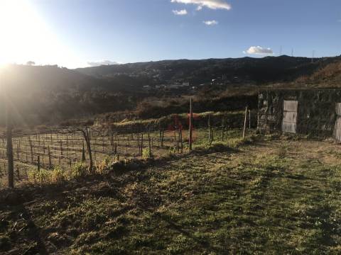 Terreno com 16.635m2 em Gôve, Baião.