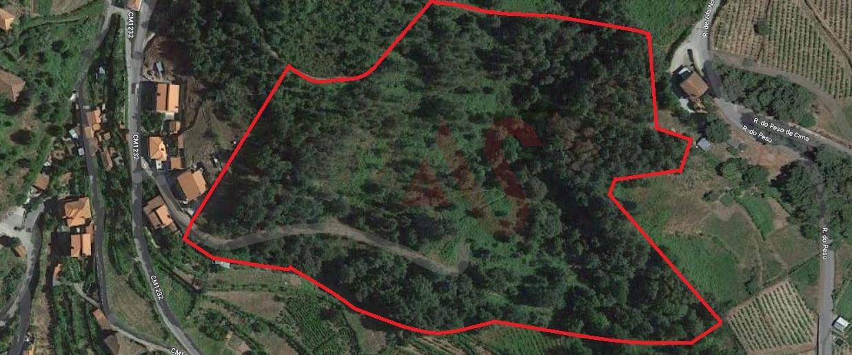 Terreno agrícola com 38.890m2 em S. M. Zêzere, Baião.