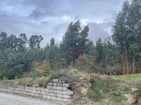 Terreno para construção com 38.934m2 em Nespereira, Lousada