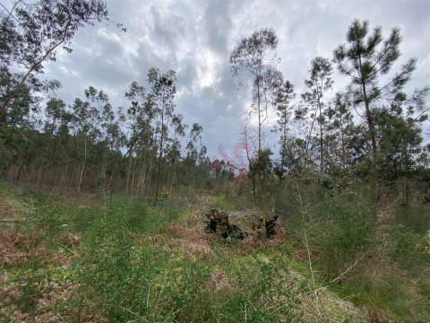 Terreno rústico com 8.000m2 em Lustosa, Lousada