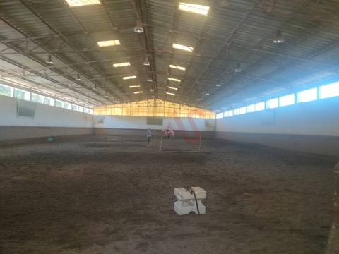Quinta com Centro Equestre com 9.106 m2 em Fermentões, Guimarães