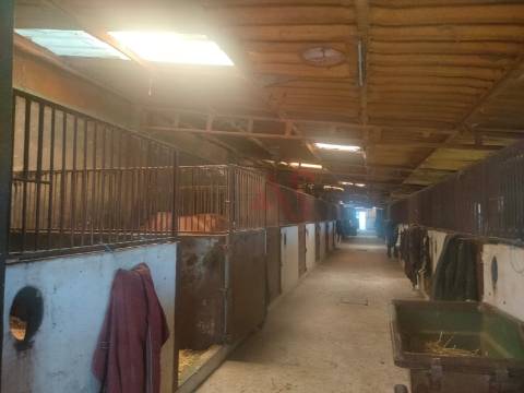 Quinta com Centro Equestre com 9.106 m2 em Fermentões, Guimarães