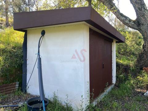 Quintinha para restauro com 2 Hectares em Guimarei, Santo Tirso
