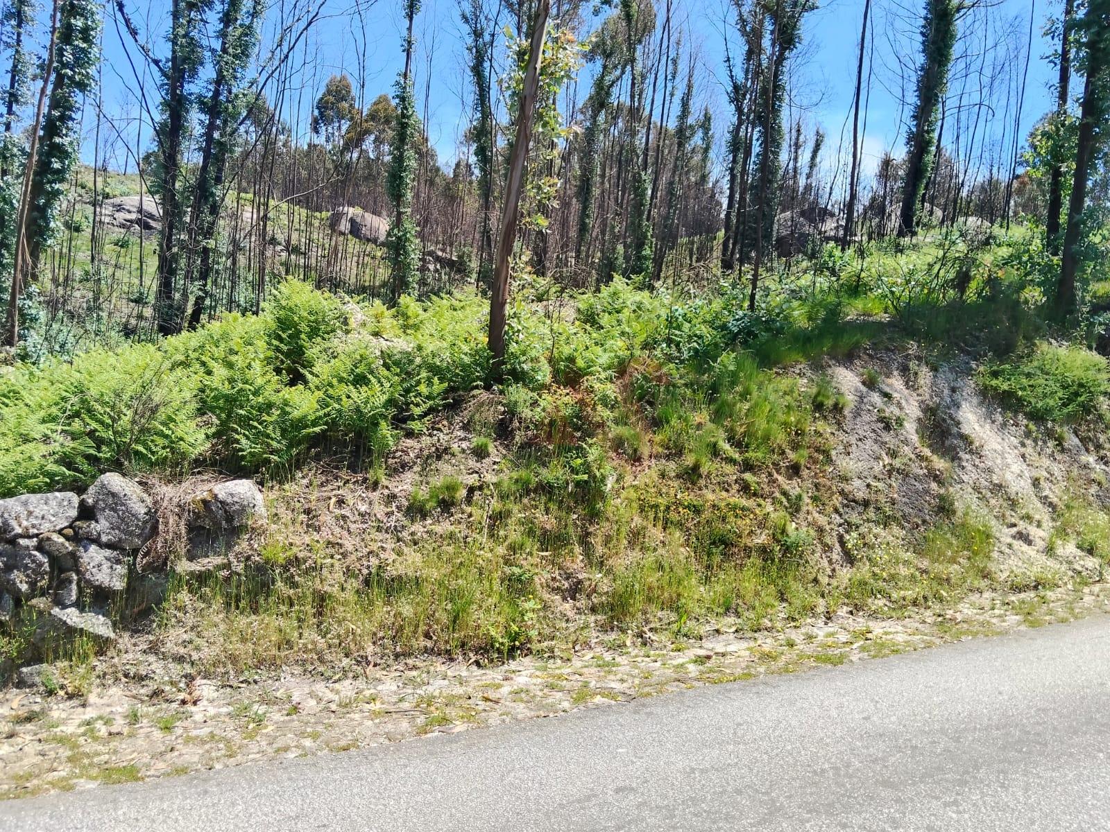Terreno Rústico com 15.064,30 m² em Seidões, Fafe