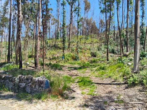 Terreno Rústico com 2.603,87 m² em Seidões, Fafe