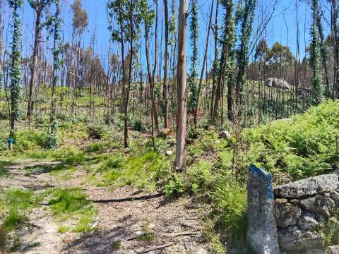 Terreno Rústico com 2.603,87 m² em Seidões, Fafe
