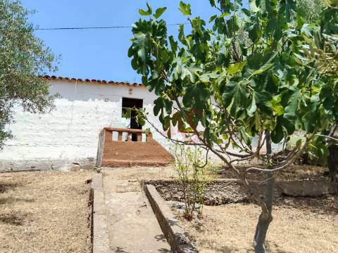 Moradia T1 Térrea para Restaurar em Santo Aleixo da Restauração – Moura