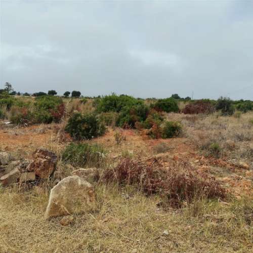Terreno Rústico com 10.386 m² | Vale da Ursa – Guia, Albufeira