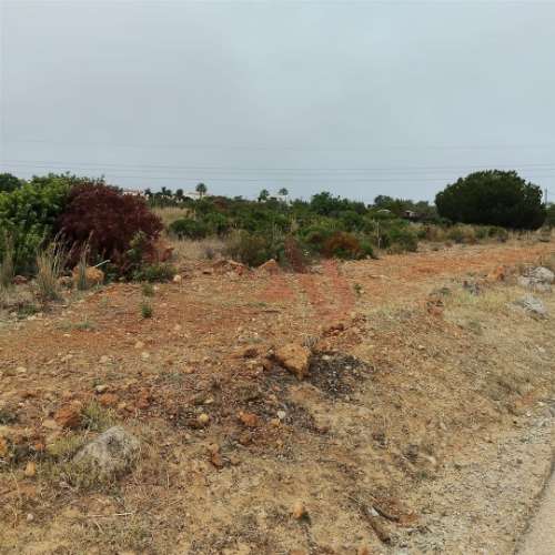 Terreno Rústico com 10.386 m² | Vale da Ursa – Guia, Albufeira