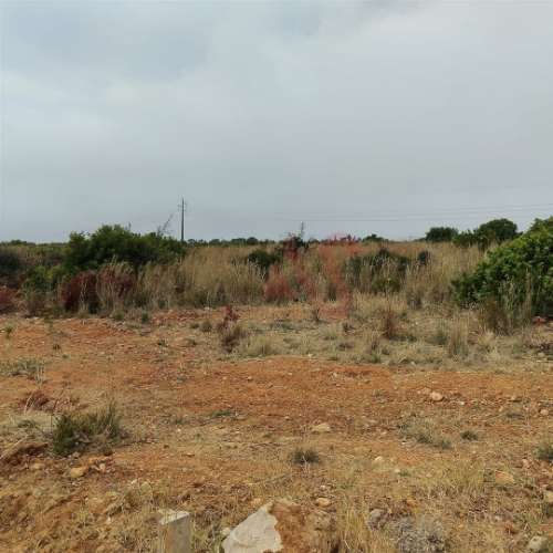 Terreno Rústico com 10.386 m² | Vale da Ursa – Guia, Albufeira