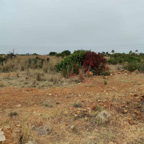 Terreno Rústico com 10.386 m² | Vale da Ursa – Guia, Albufeira