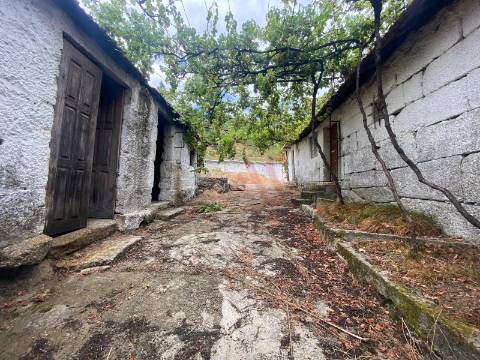 Moradia T3 para restauro em Silvares, Lousada