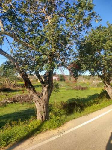 Terreno com uma área total de 24.070 m2 com 1 Bungalow T2 em Albufeira