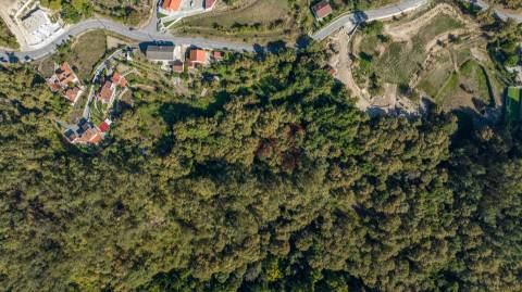 Terreno Rústico com 2.500 m² em Armil, Fafe